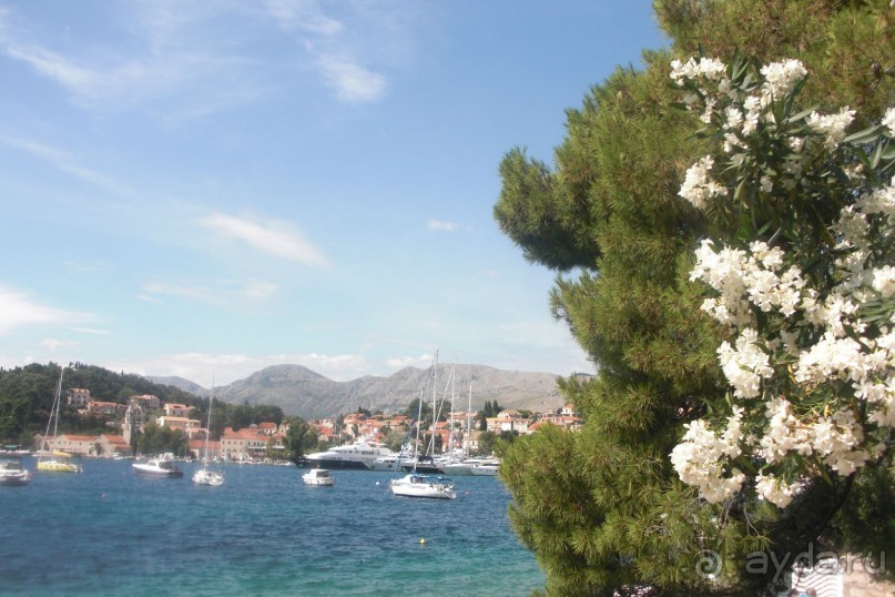 Хорватия, Цавтат. Не лучший мой отдых с ребенком (2 года)