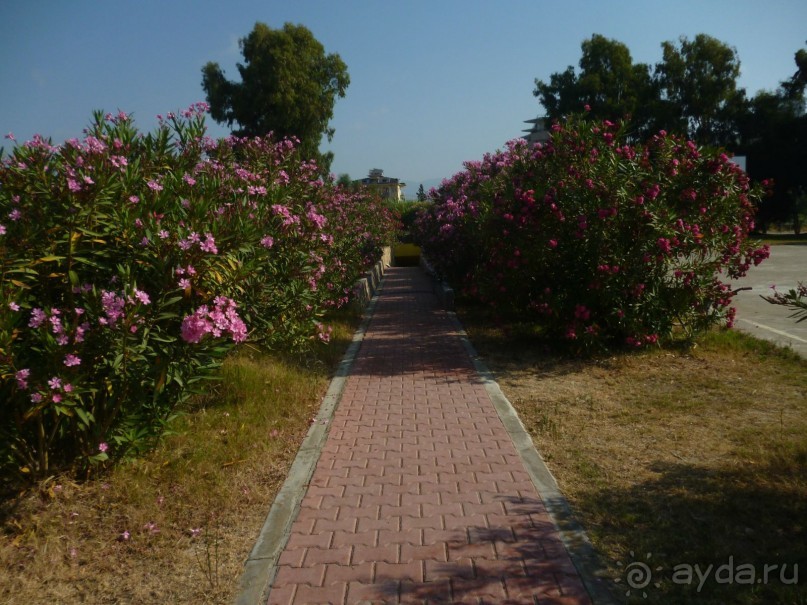 Замечательный, тихий отель для семейного отдыха.