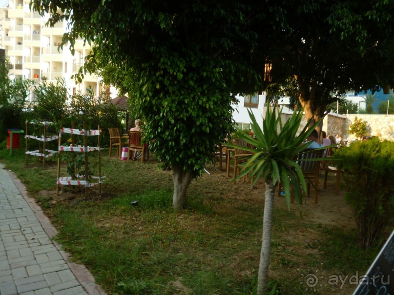 фото Kleopatra Atlas Hotel 