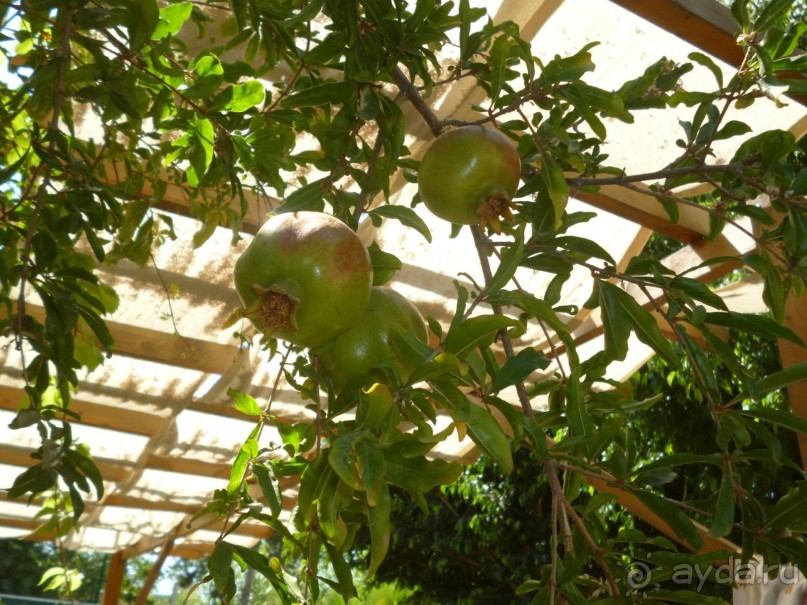 фото Novotel Poznan Malta