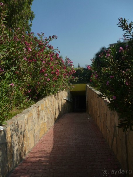 фото Novotel Poznan Malta