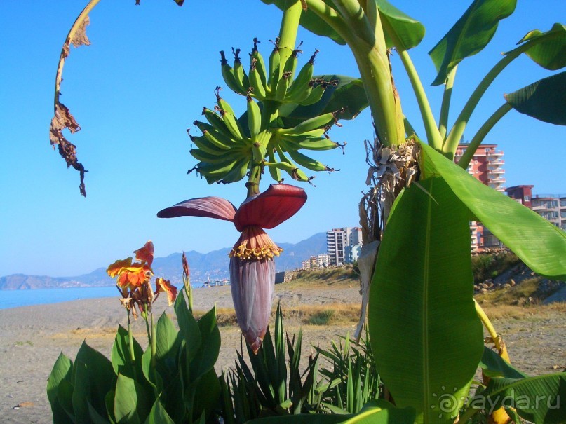 Симпатичный отель!