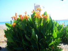 Симпатичный отель!