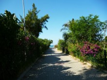 Всем рекомендую!