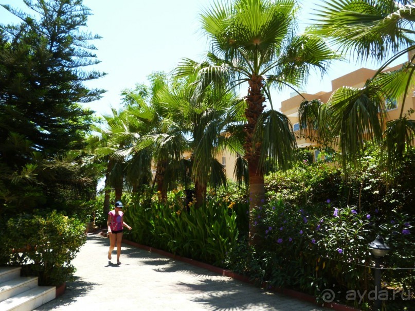 фото Caretta Relax Hotel