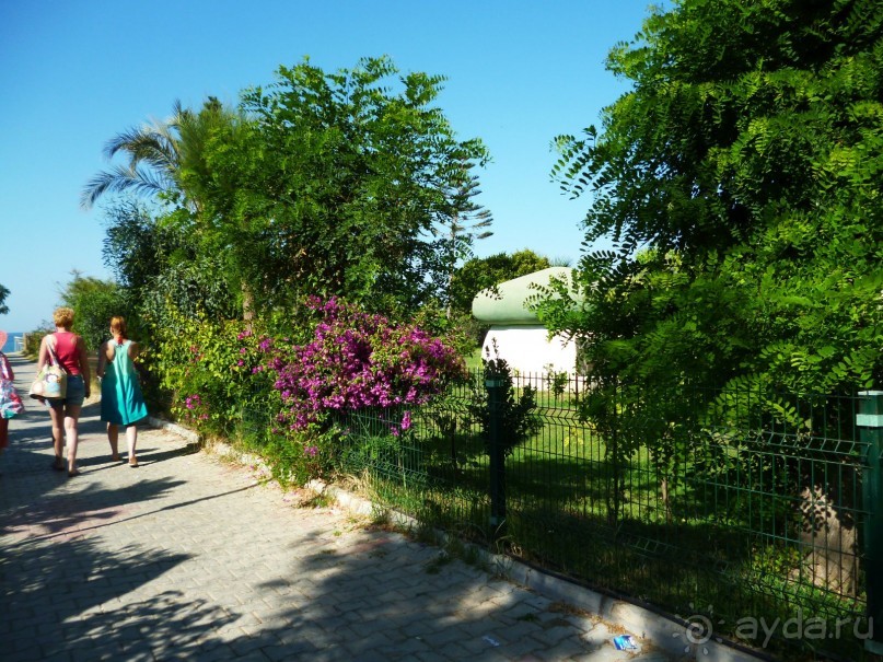 фото Caretta Relax Hotel