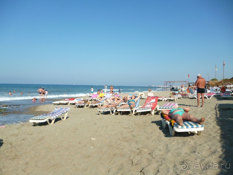 Всем рекомендую!