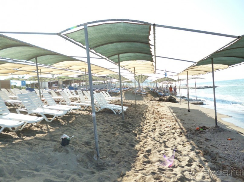 Всем рекомендую!