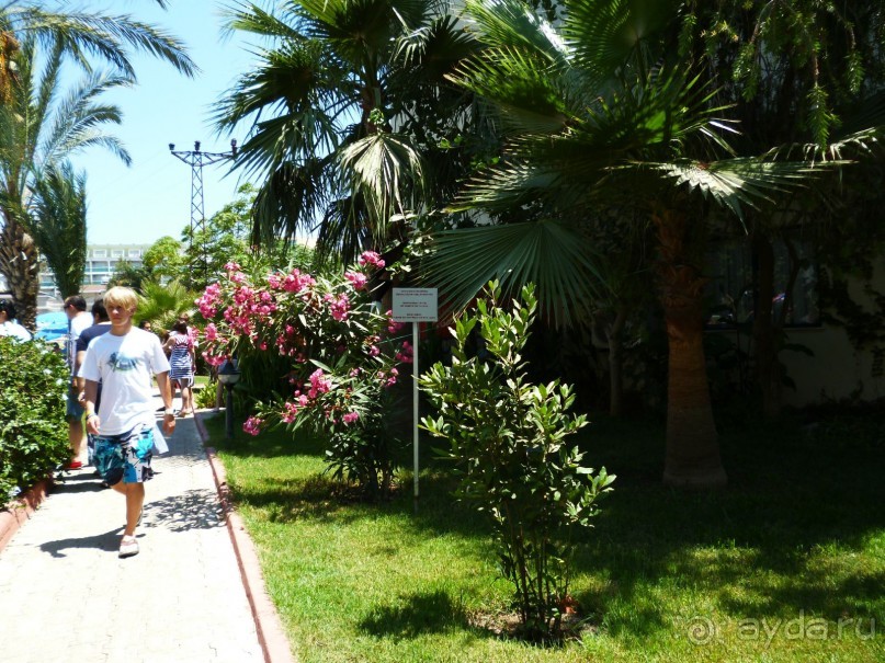 Всем рекомендую!