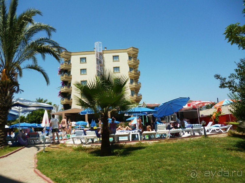 Всем рекомендую!