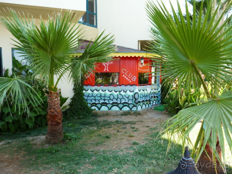 Всем рекомендую!