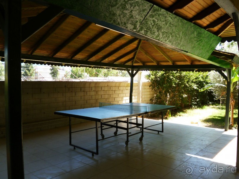 Всем рекомендую!