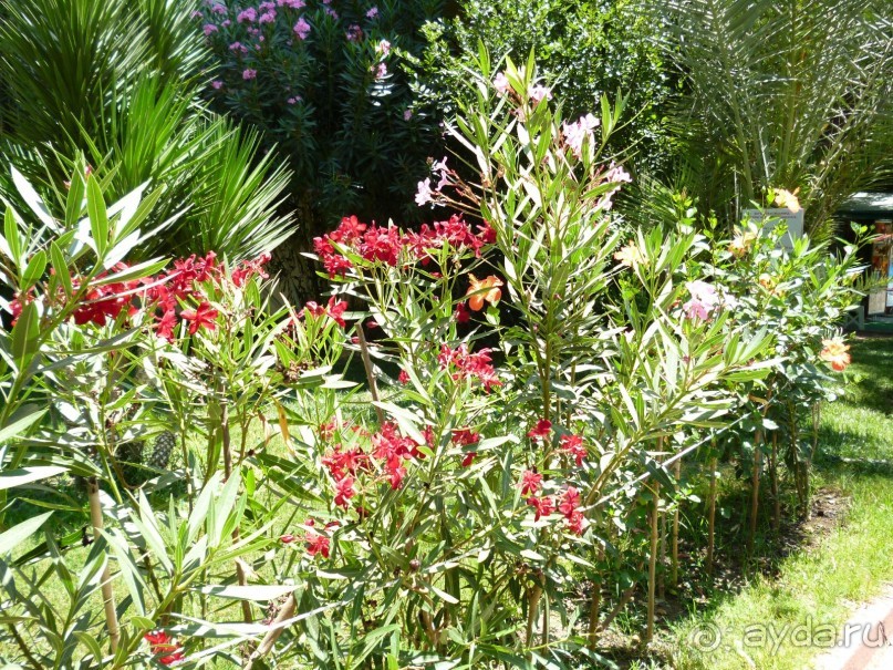 Всем рекомендую!