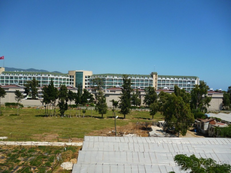 Всем рекомендую!