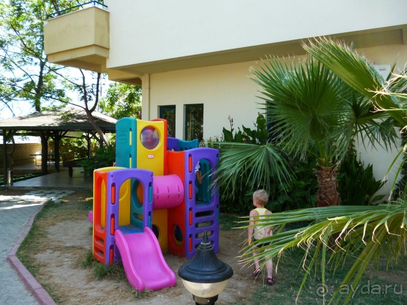 Всем рекомендую!