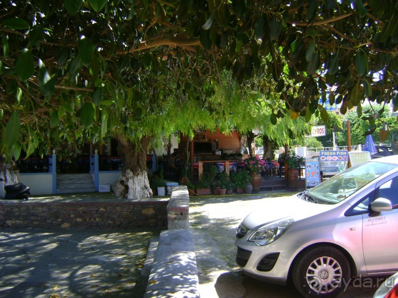 Замечательный просторный отель с продуманной инфраструктурой