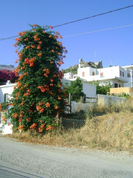 Замечательный просторный отель с продуманной инфраструктурой