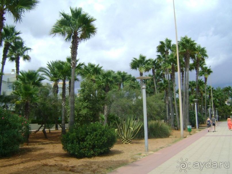 Море, искупающее все...