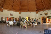 Тунис2011