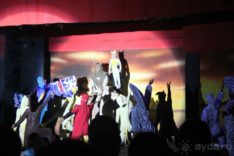 Тунис2011