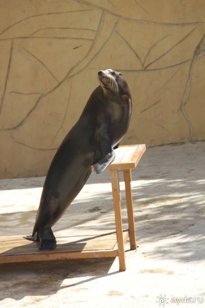 фото Caribbean World Borj Sedria