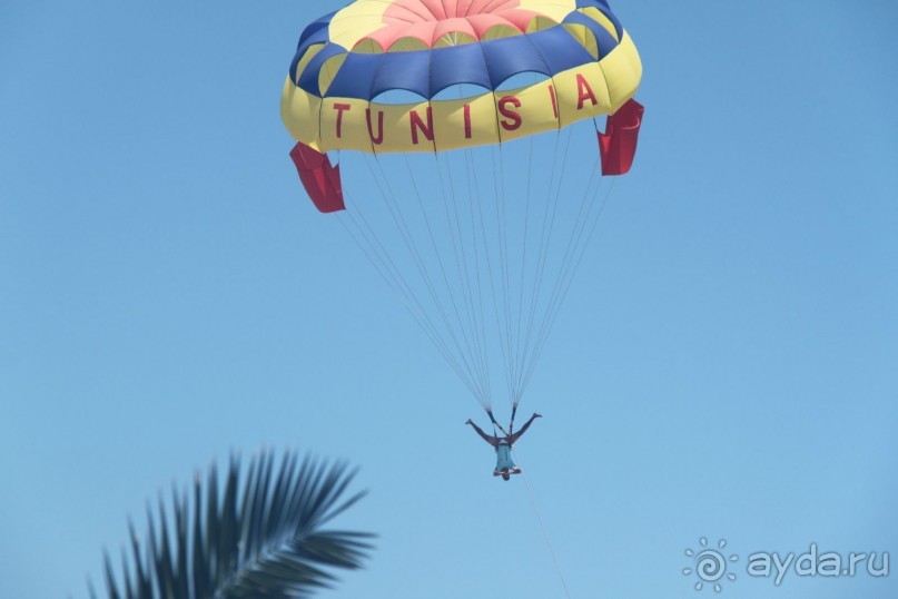 Тунис2011