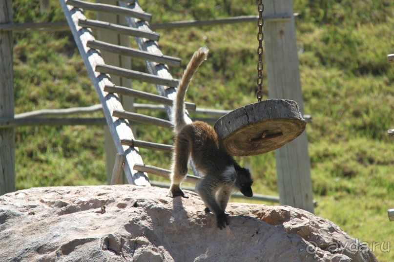 фото Caribbean World Borj Sedria