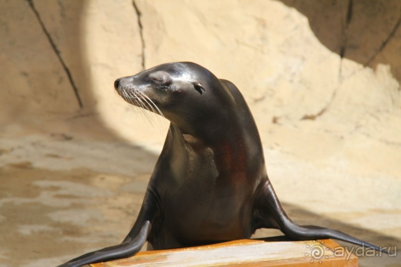 фото Caribbean World Borj Sedria