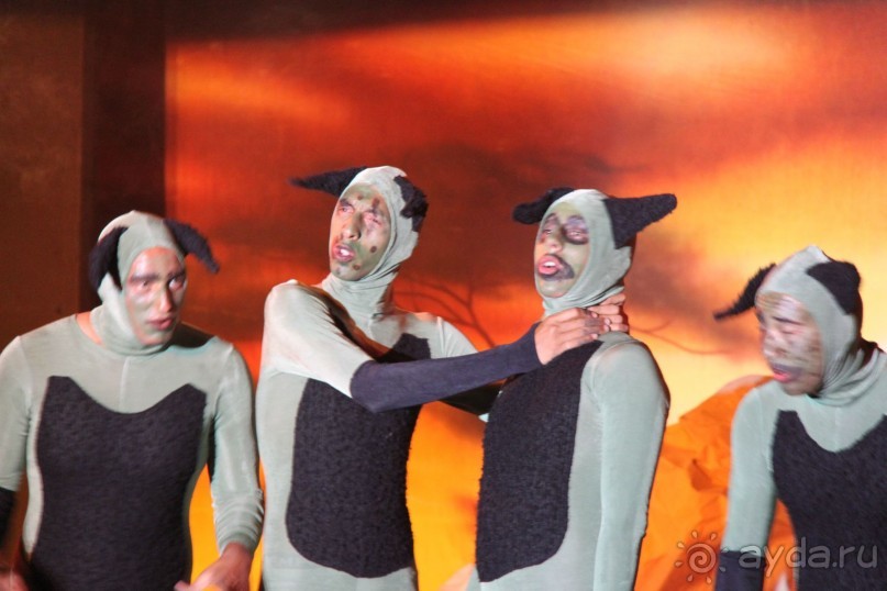 фото Caribbean World Borj Sedria