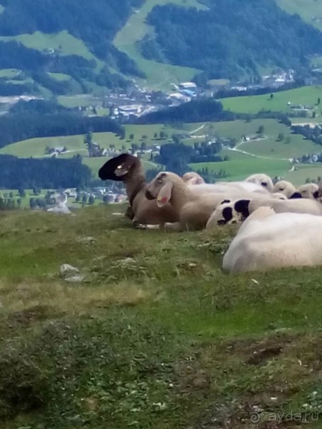 Хайкинг по плато Дахштайн