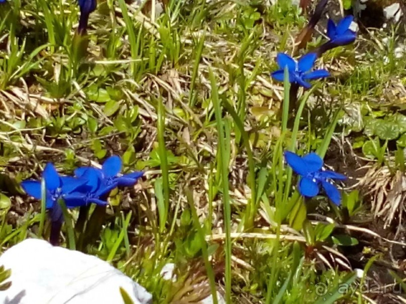 Хайкинг по плато Дахштайн