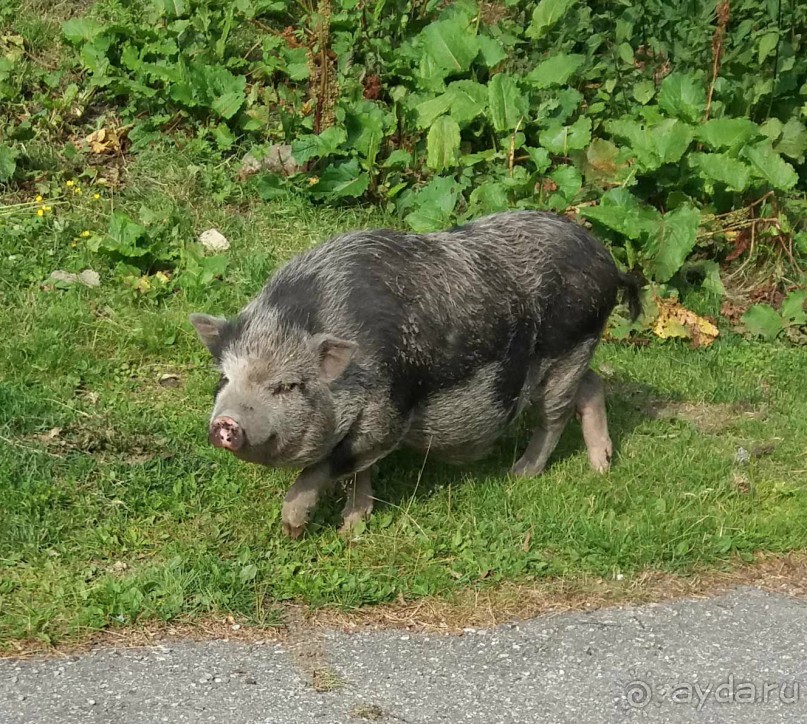Трекинг в г. Мальниц, Каринтия