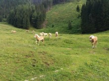 Трекинг в г. Мальниц, Каринтия