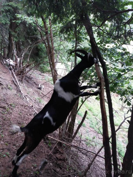 Трекинг в г. Мальниц, Каринтия