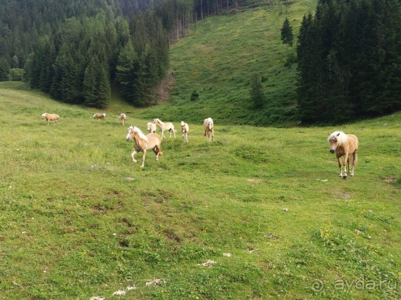 Трекинг в г. Мальниц, Каринтия