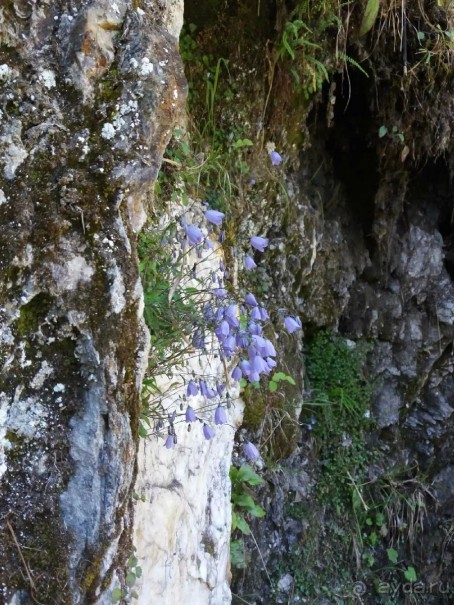 Трекинг в г. Мальниц, Каринтия