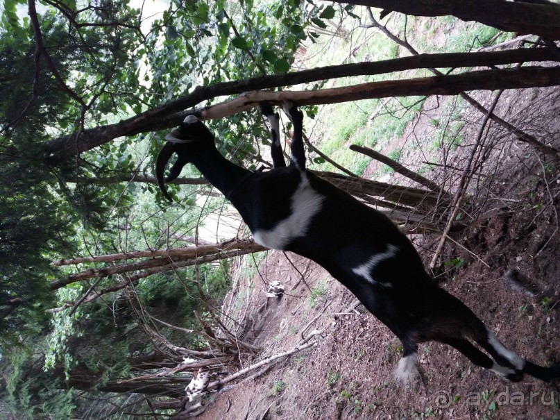 Трекинг в г. Мальниц, Каринтия