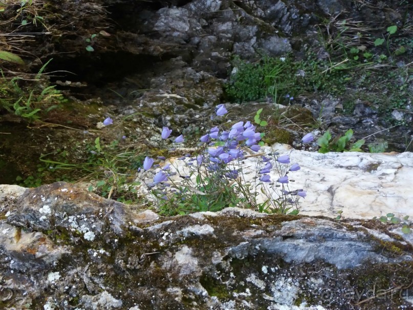 Трекинг в г. Мальниц, Каринтия