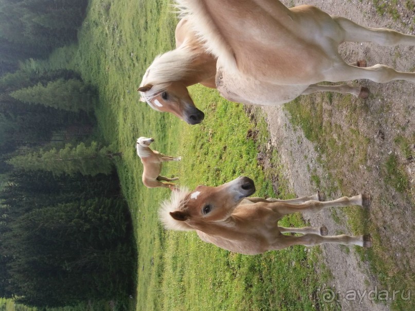 Трекинг в г. Мальниц, Каринтия