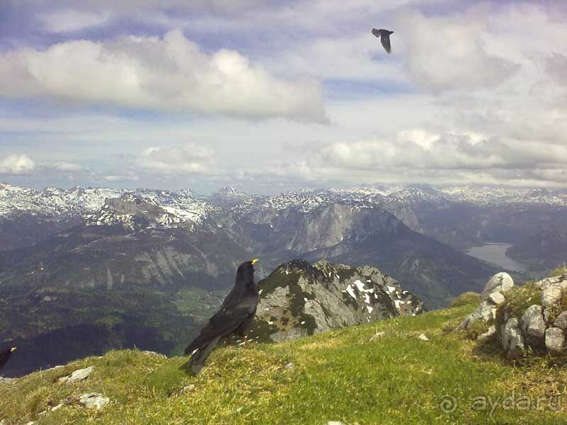 На вершину Сарстейн. Обертраун. Зальцкамергут. Австрия. 