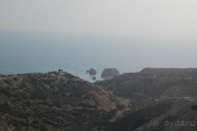 фото Mayfair Gardens Apartments