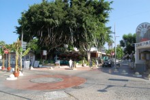 фото Mayfair Gardens Apartments