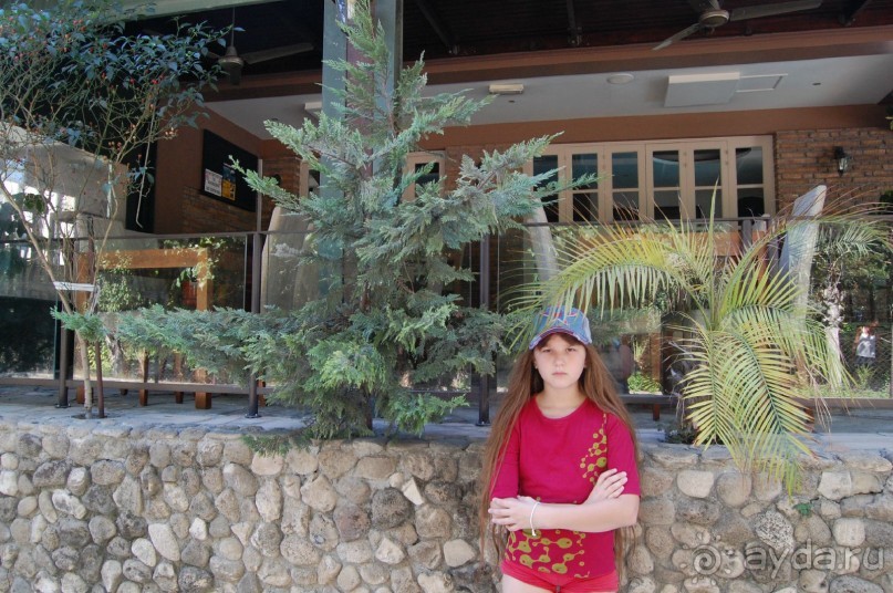 Это 3*,но очень хорошая,если не ждать сервиса 5*........то рекомендую.