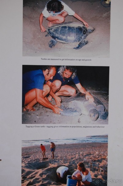 Это 3*,но очень хорошая,если не ждать сервиса 5*........то рекомендую.