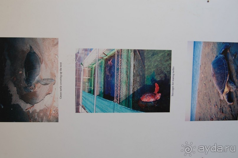 Это 3*,но очень хорошая,если не ждать сервиса 5*........то рекомендую.