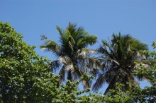 Старой доброй Ясаке,"наступают на пятки" современные отели.