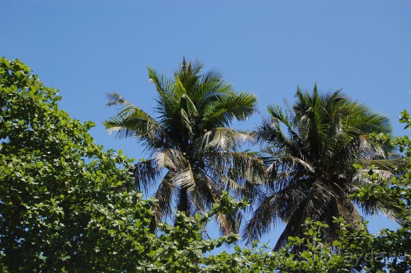Старой доброй Ясаке,"наступают на пятки" современные отели.