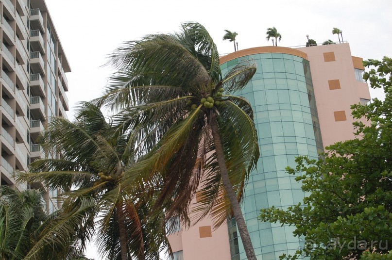 Старой доброй Ясаке,"наступают на пятки" современные отели.