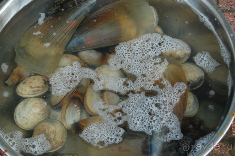 Старой доброй Ясаке,"наступают на пятки" современные отели.