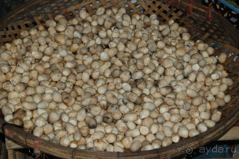 Старой доброй Ясаке,"наступают на пятки" современные отели.